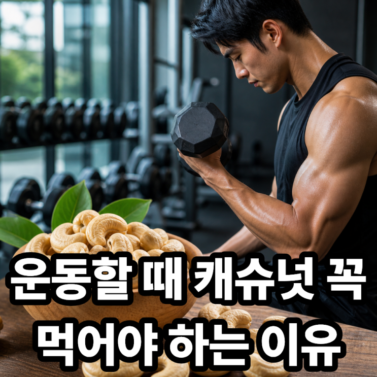  운동하는 사람에게 캐슈넛이 좋은 이유  근육·에너지까지 한 번에