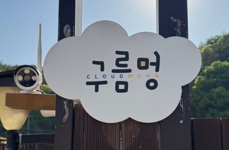 사진 10