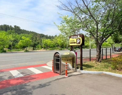 사진 7
