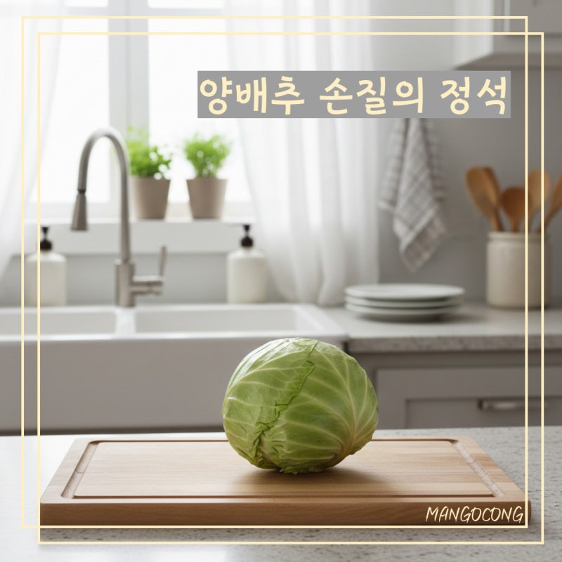 통양배추 소분 손질법 씻는 법 보관법 용도별 활용까지 총정리!