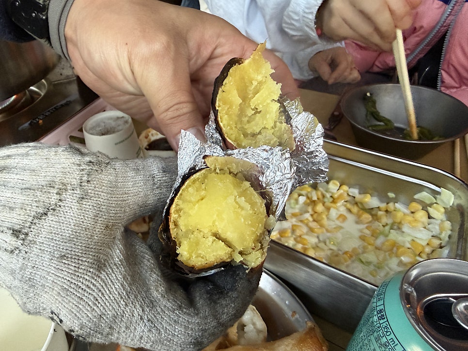 솔향기 사진 4