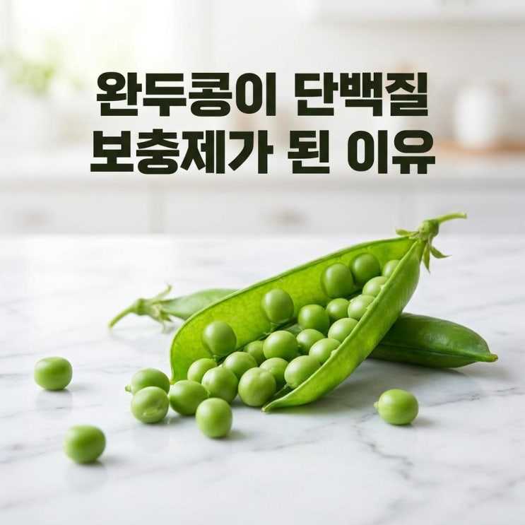  완두콩이 단백질 보충제가 된 이유, 알고 보니 이거였어요