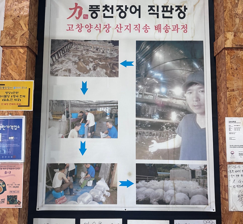 힘찬풍천장어 사진 3