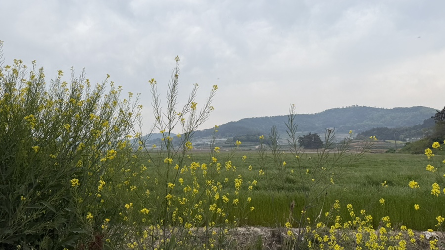 슬산제 사진 6