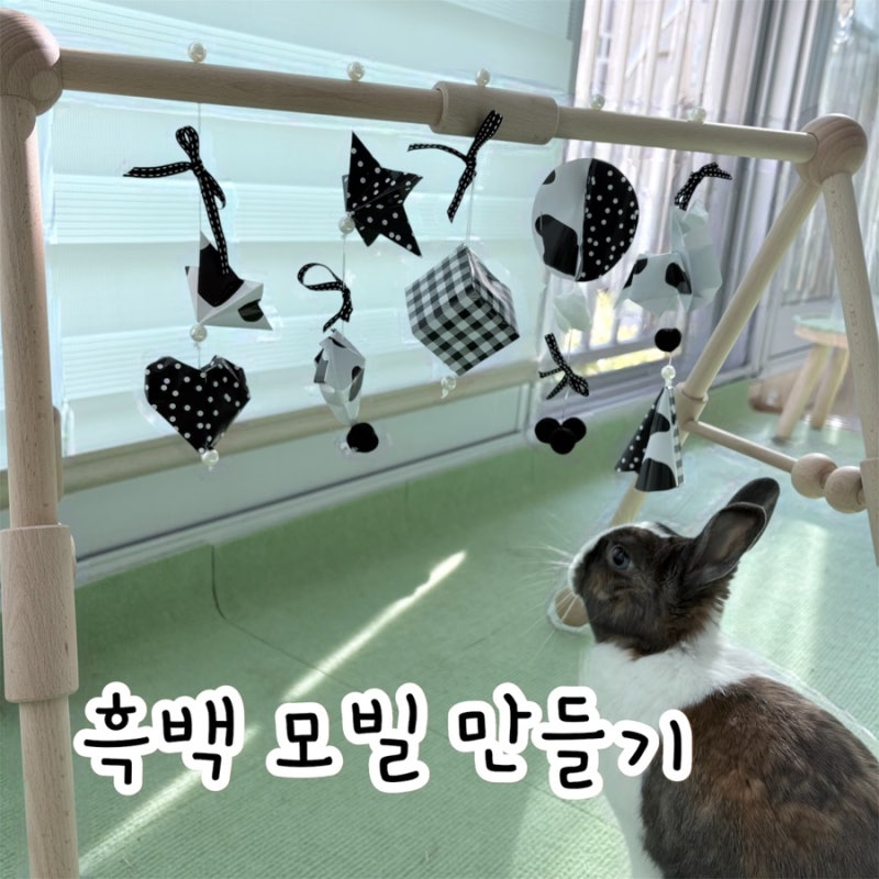 [흑백 모빌 만들기] 다이소 모빌, 몬테소리 육아 모빌