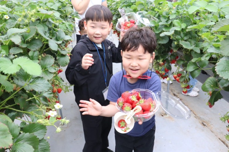  신서동 태권도 고민이라면? 체험학습까지 다른 합기도