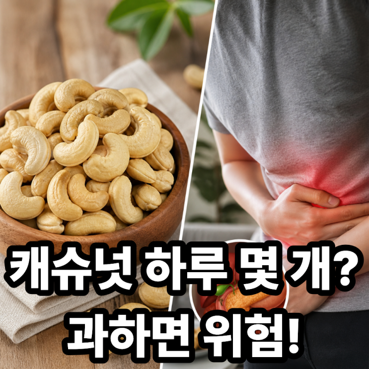  캐슈넛 하루 섭취량은? 과다 섭취 시 생기는 문제 총정리