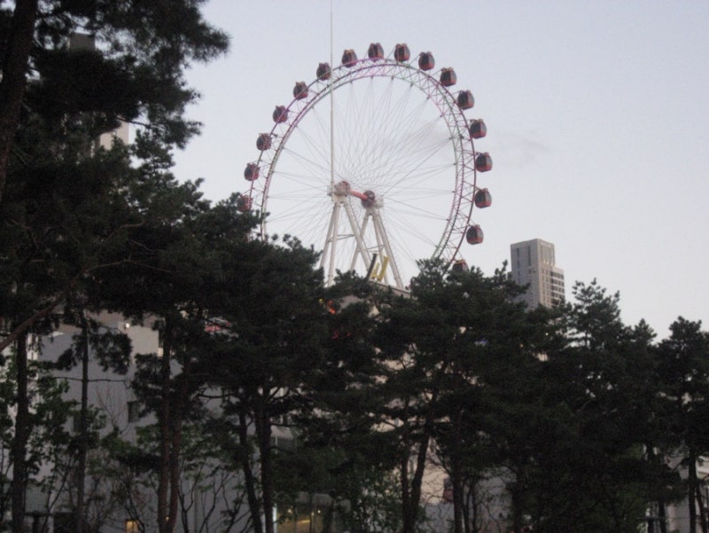 [작례] 빈티지디카 캐논 ixus 800 (ixy 800)