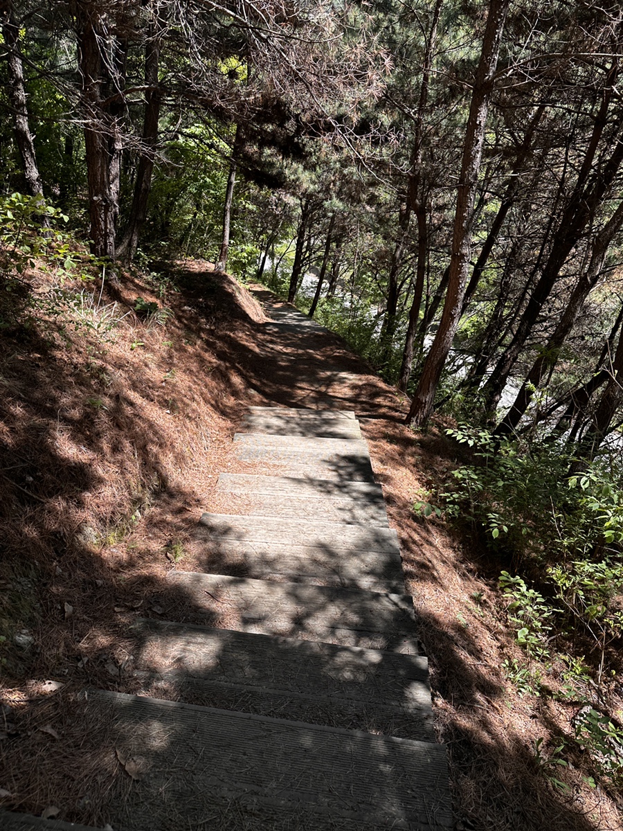 부엉산 사진 5