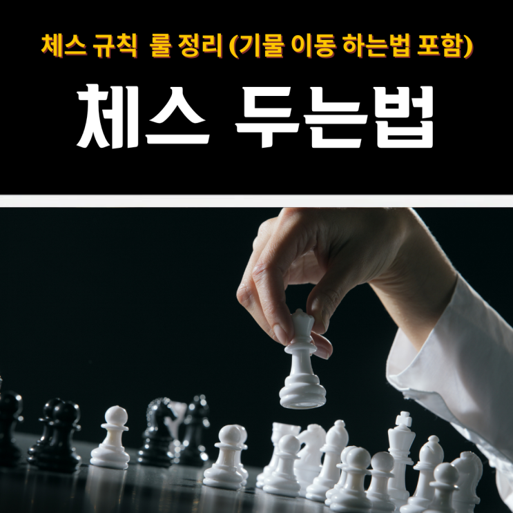 체스 규칙 및 체스 두는법 초보자 맞춤형 룰 완벽 정리 (기물 이동 하는법 포함)