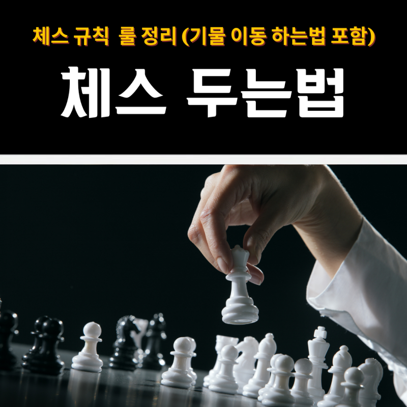 체스 규칙 및 체스 두는법 초보자 맞춤형 룰 완벽 정리 (기물 이동 하는법 포함)