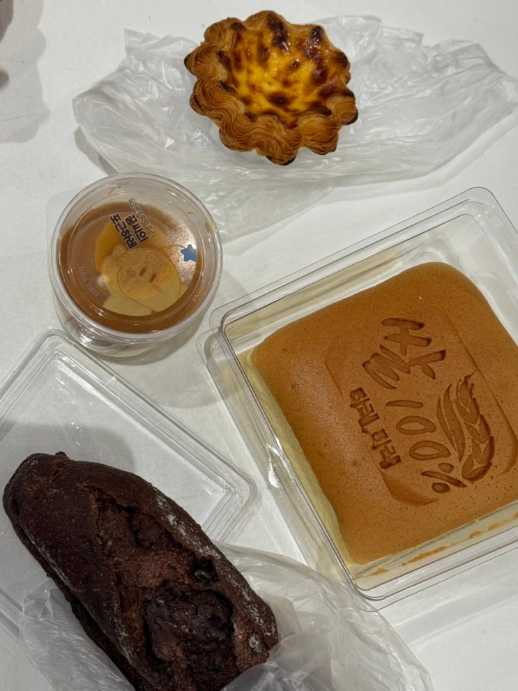  대전 빵지순례: 하레하레, 성심당, 정동문화사 대기 꿀팁