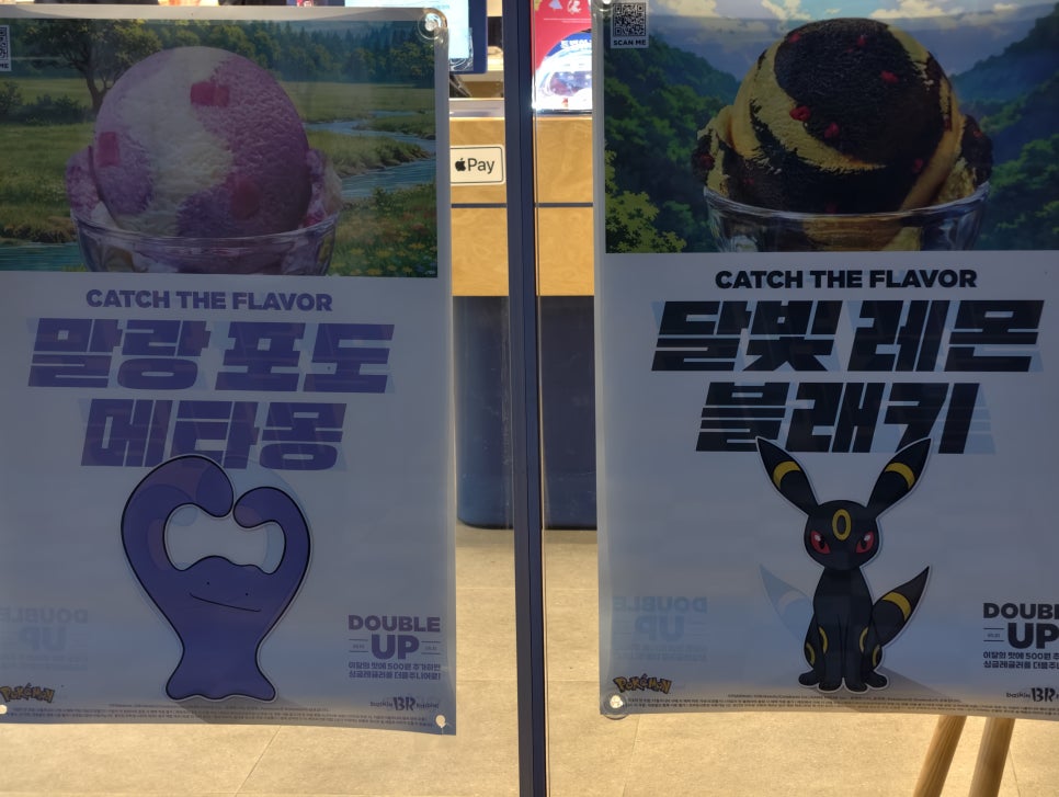 피카 사진 2