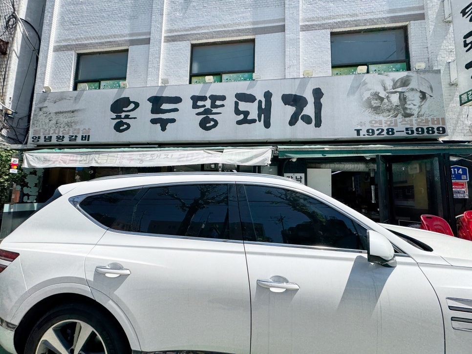 용두똥돼지 사진 2