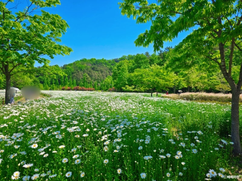 사진 7