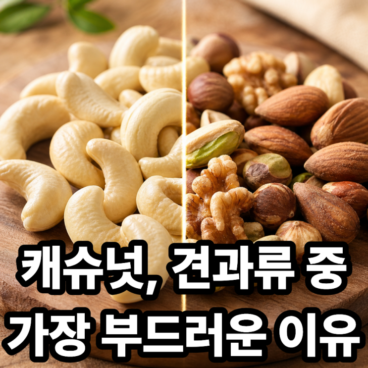  캐슈넛이 유독 부드러운 이유  다른 견과류와 뭐가 다를까?