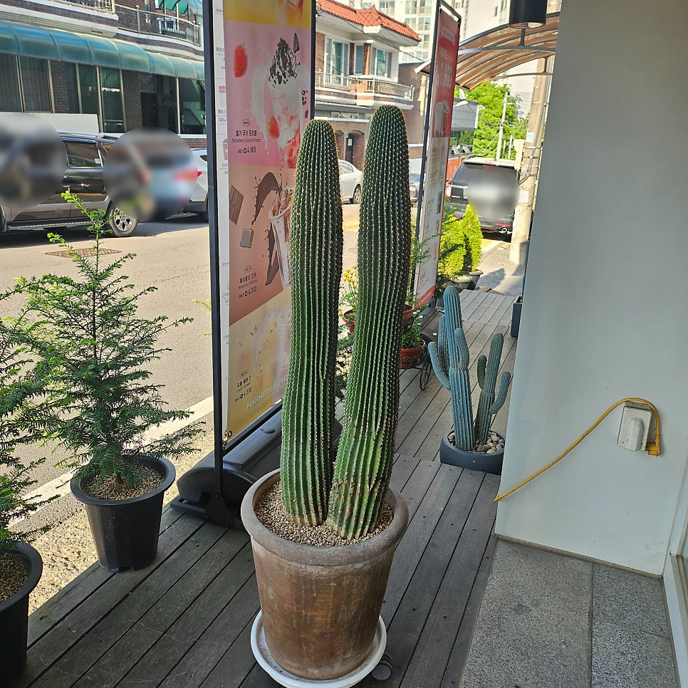 매머드익스프레스 광주내방점 사진 4