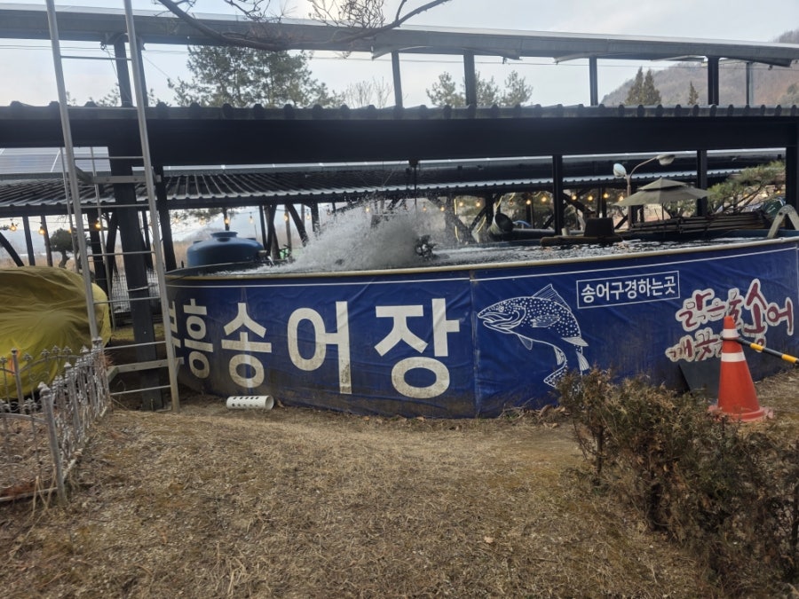 부흥송어장 사진 3
