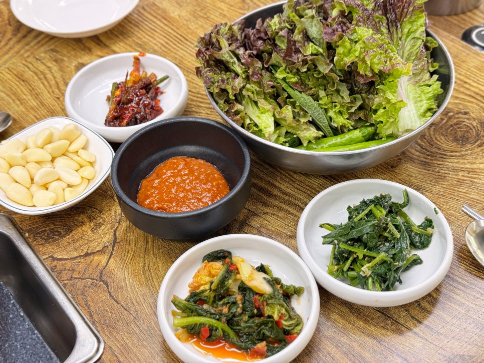 용두똥돼지 사진 5
