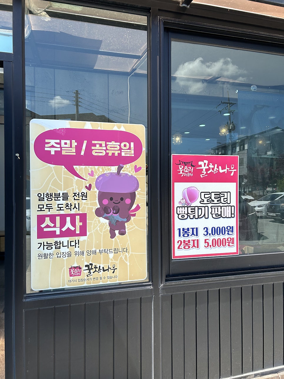 꿀참나무 사진 2