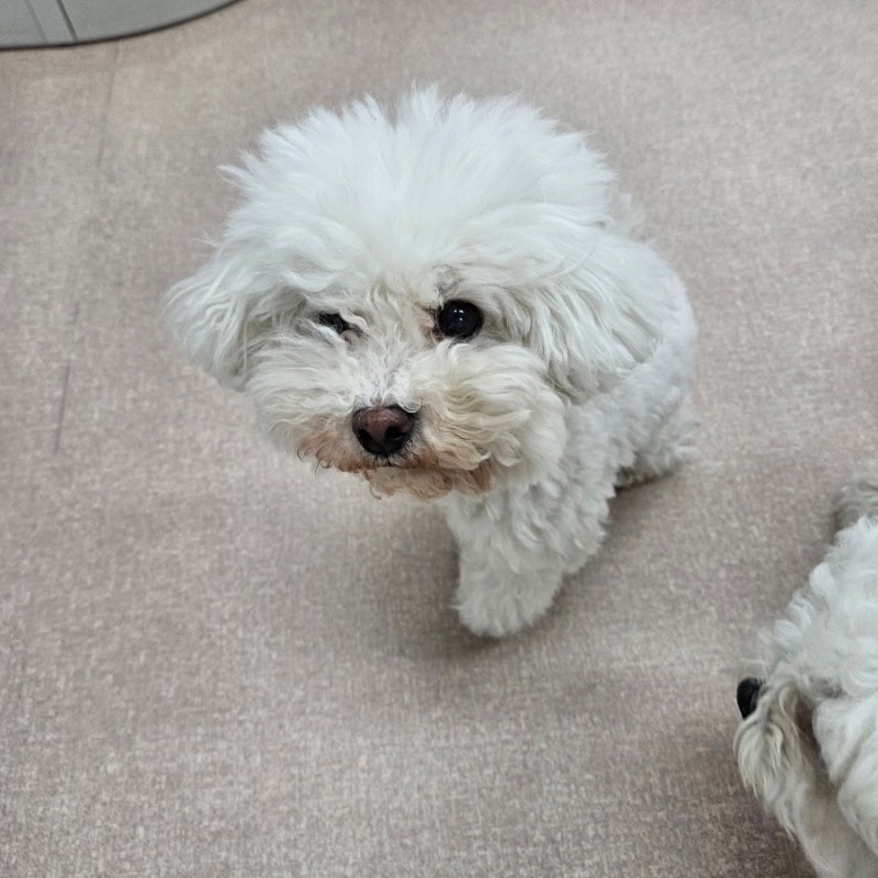 사진 7