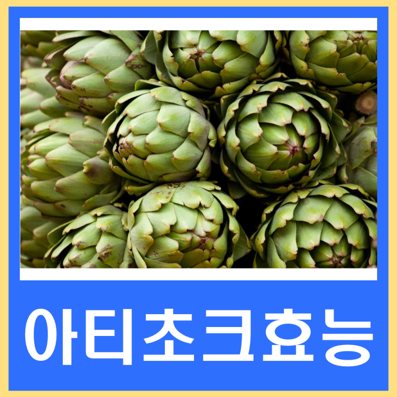 아티초크 효능 먹는법 주의사항