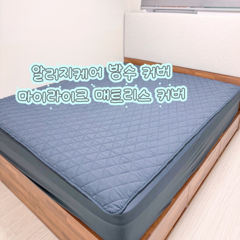 알러지케어 방수 매트리스 커버 킹 사이즈 추천