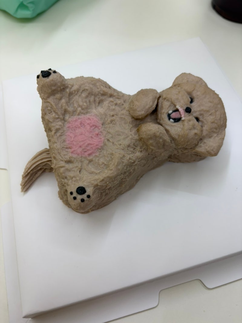 사진 2