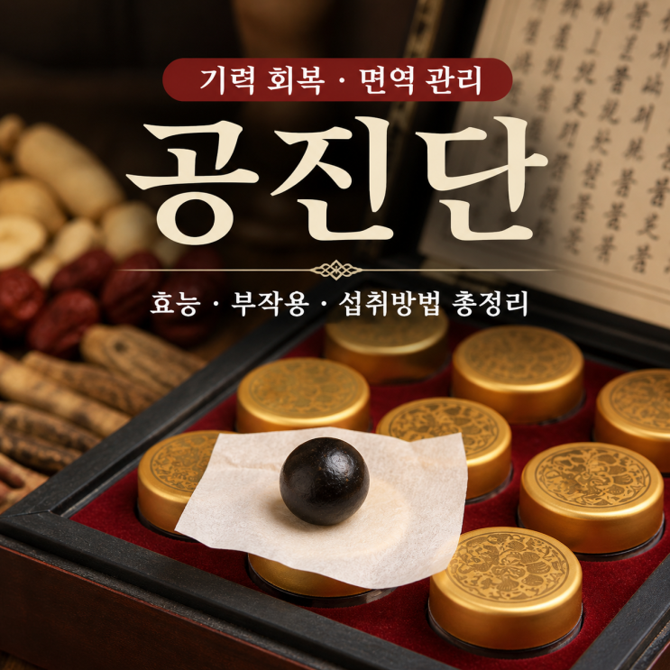  공진단 효능 부작용 섭취방법 총정리 ㅣ 경옥고 vs 침향환 차이까지 한눈에