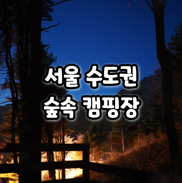  착한 가격은 덤! 서울 경기도 지자체 휴양림 숲속 캠핑장 리스트