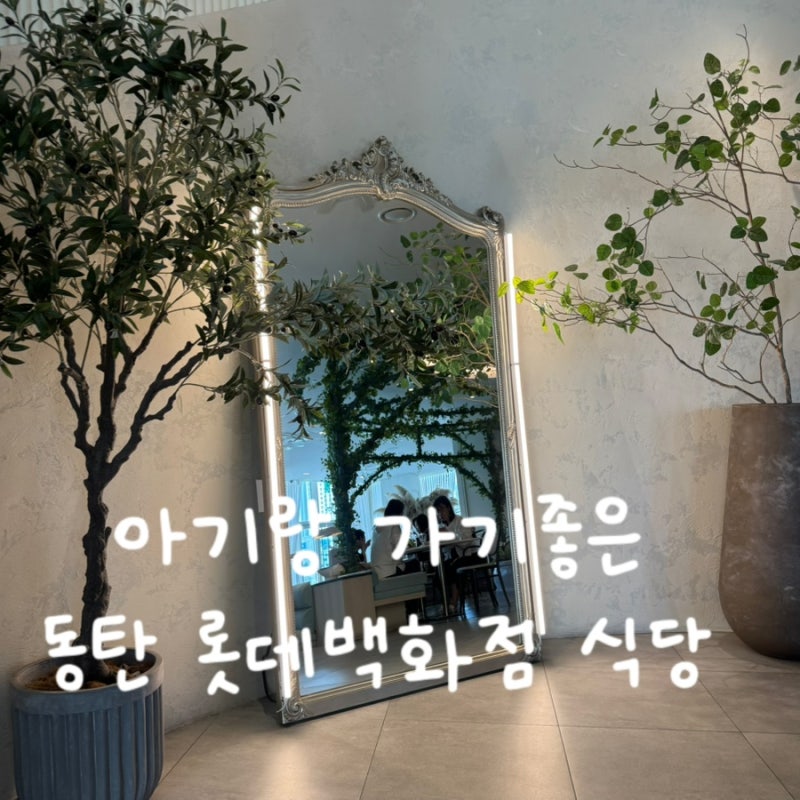 스케줄 롯데백화점 동탄점