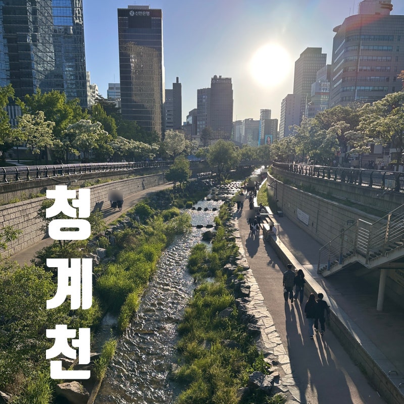 [서울 여행] 도심 속 쉼표, 청계천 완벽 가이드, 역사부터 야경 명소까지