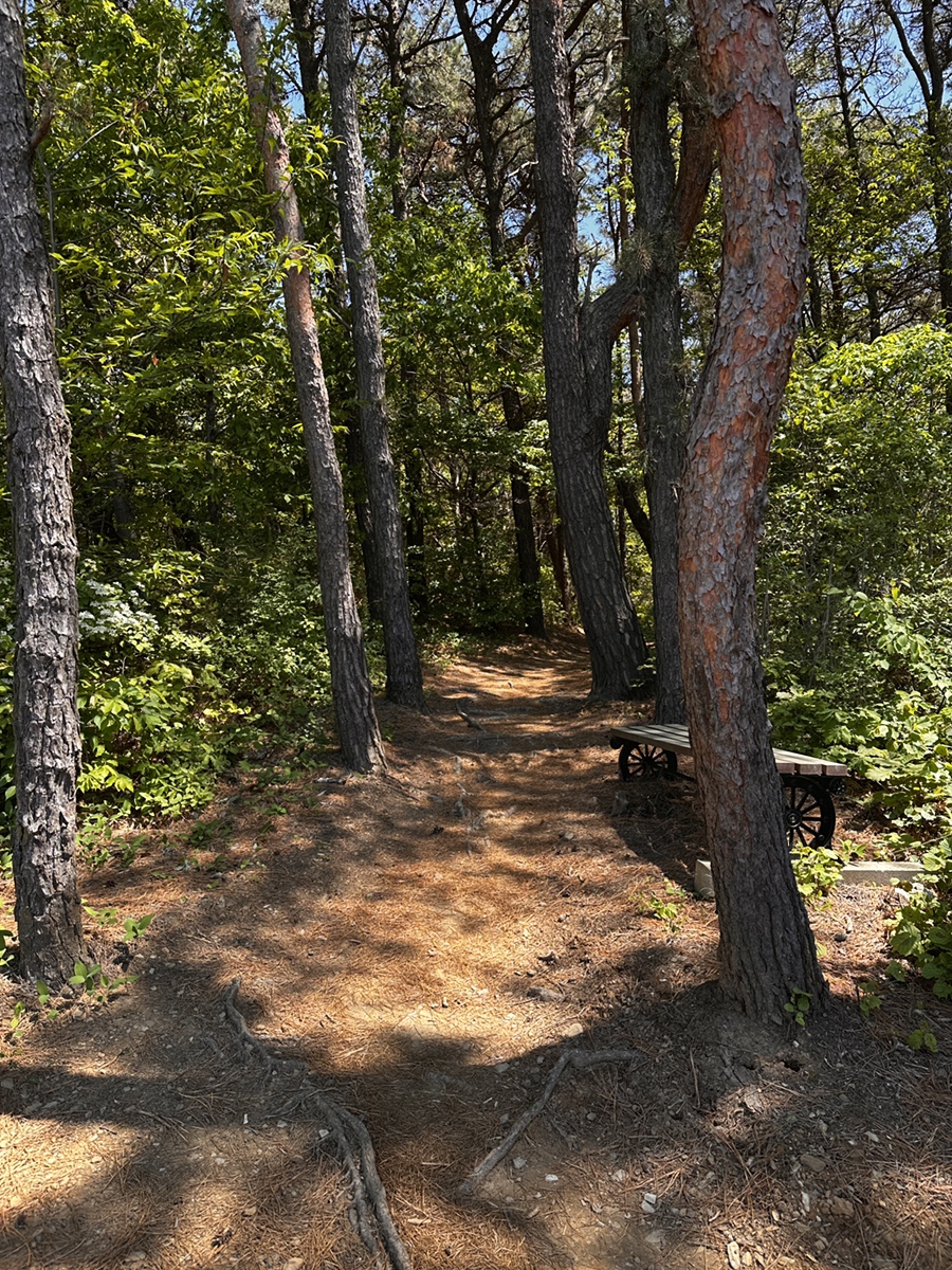부엉산 사진 4