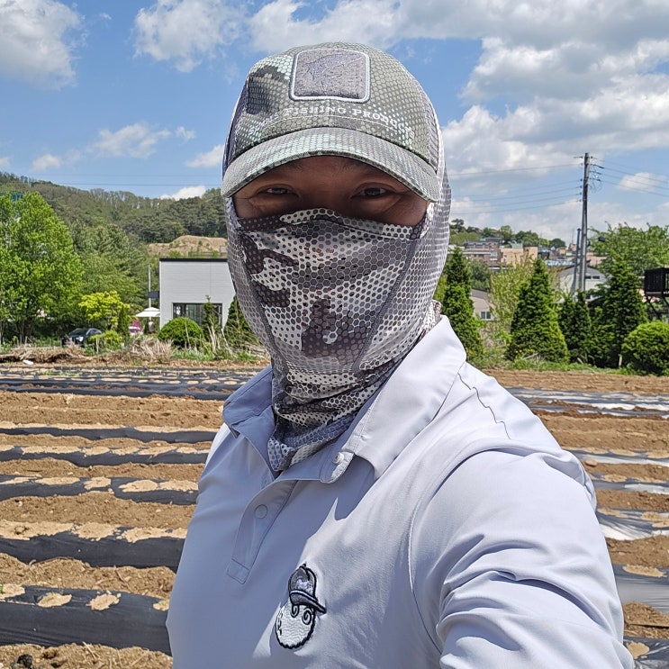  올게 왔다. 유노의 27년 대학 입시 모드 돌입