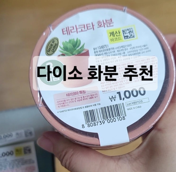  다이소 화분 추천/다이소 테라코타 화분 /다이소 그라데이션 사각 다육이 화분 /써 본 후기  /가성비 굿/물마름 굿