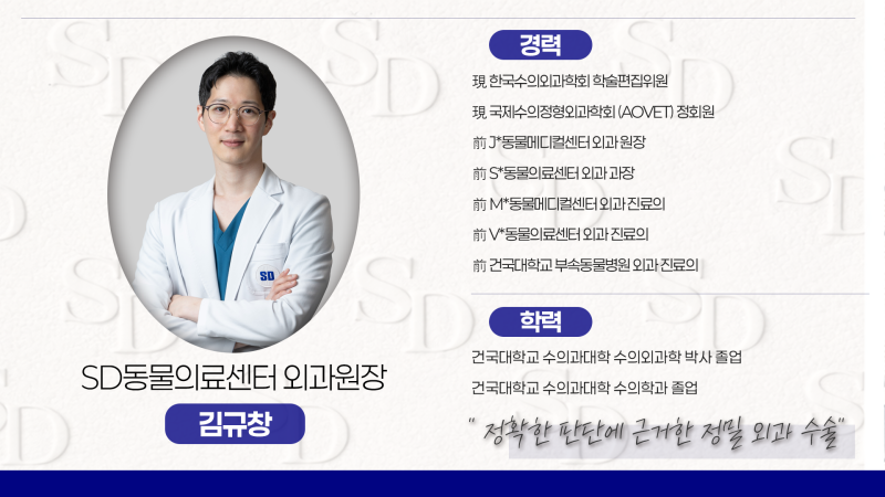 해당 시술을 진행한 의료진 프로필