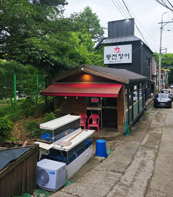 풍천민물장어 사진 2
