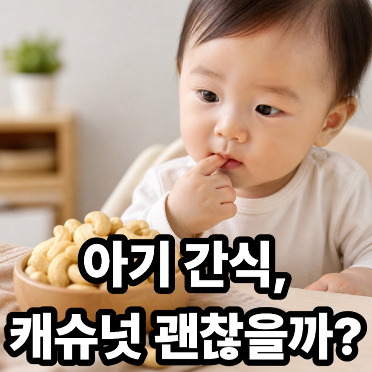  아이 간식으로 캐슈넛 언제부터 가능할까  안전한 섭취 시기