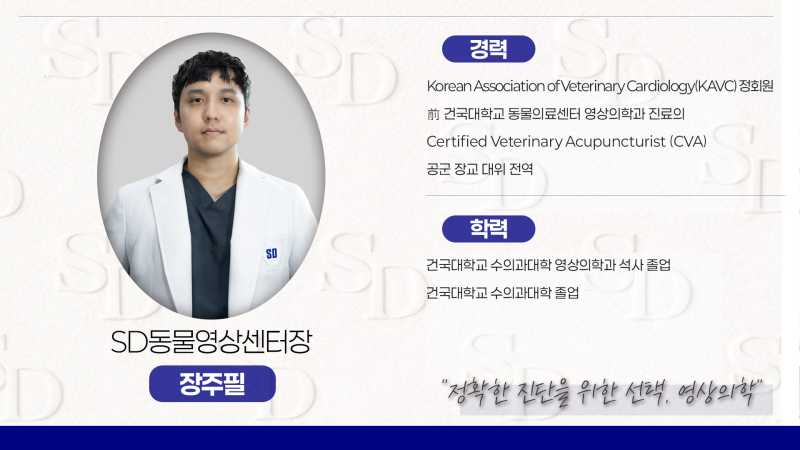 해당 시술을 진행한 의료진 프로필