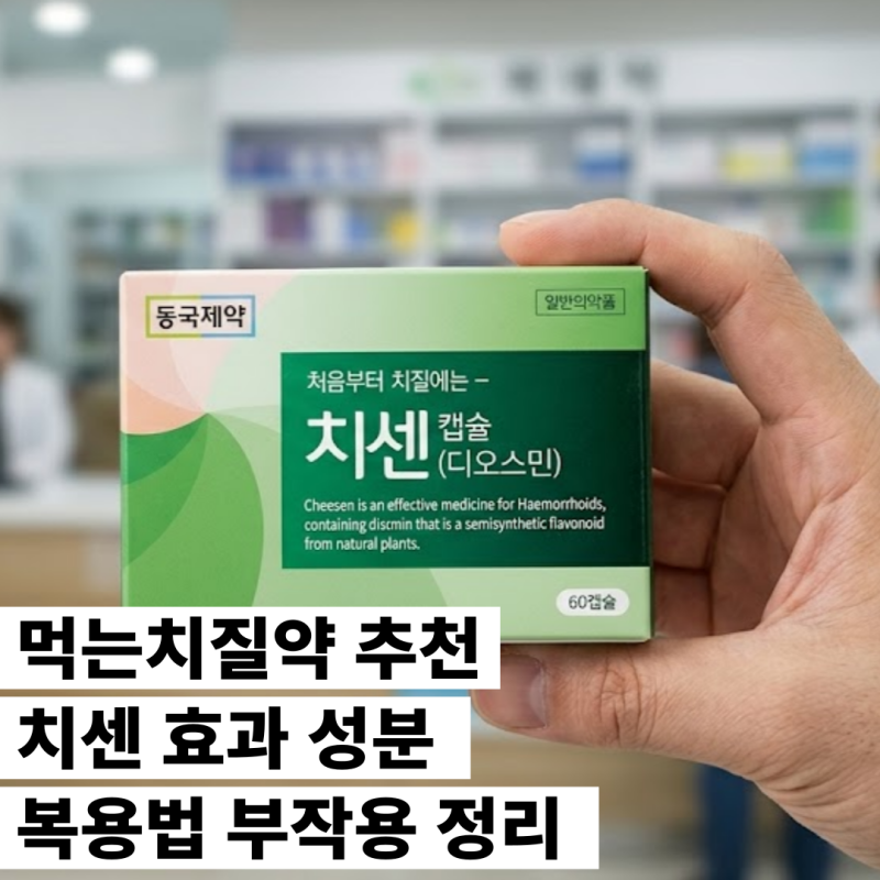 먹는치질약 추천 치센 효과 성분 복용법 부작용 정리