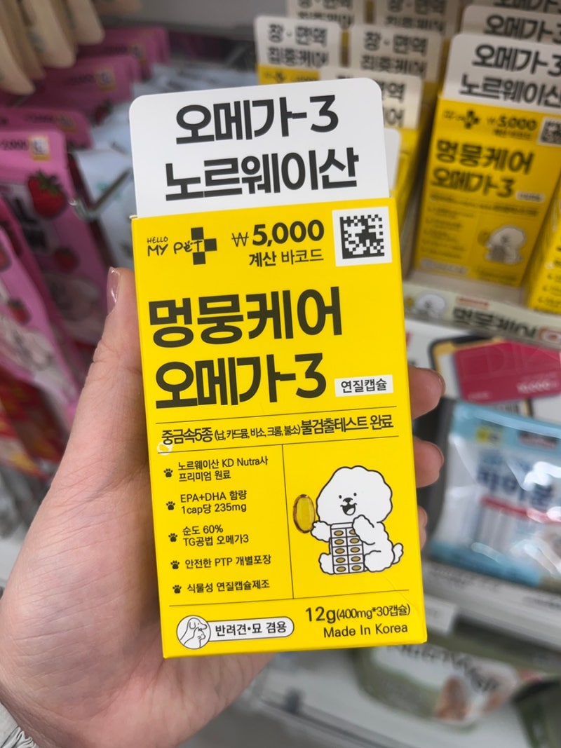강아지 영양제 고민이라면?ㅣ다이소 추천 템ㅣ