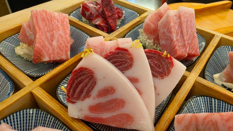  [참치 맛집] 3대가 칭찬하는 골드참치, 까다로운 부모님 입맛까지 사로잡은 15코스의 비밀