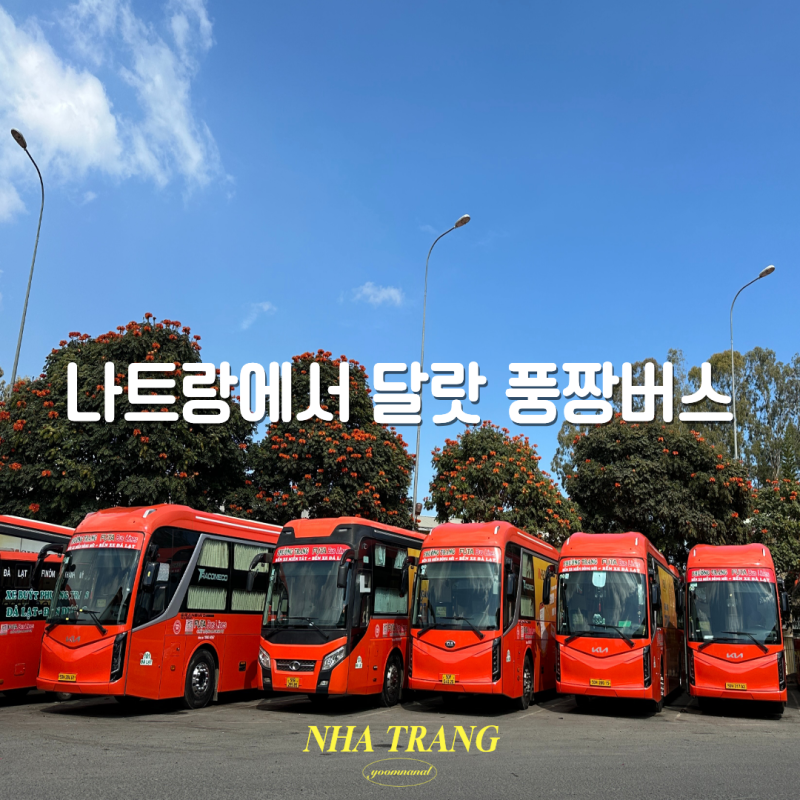 나트랑에서 달랏가는법 슬리핑버스 풍짱버스 후기