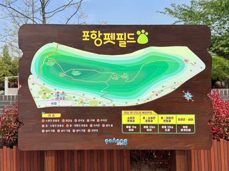 사진 6