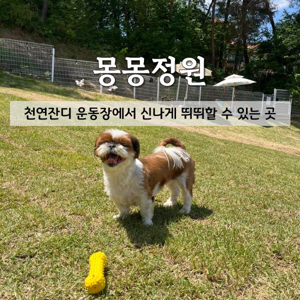 사진 3