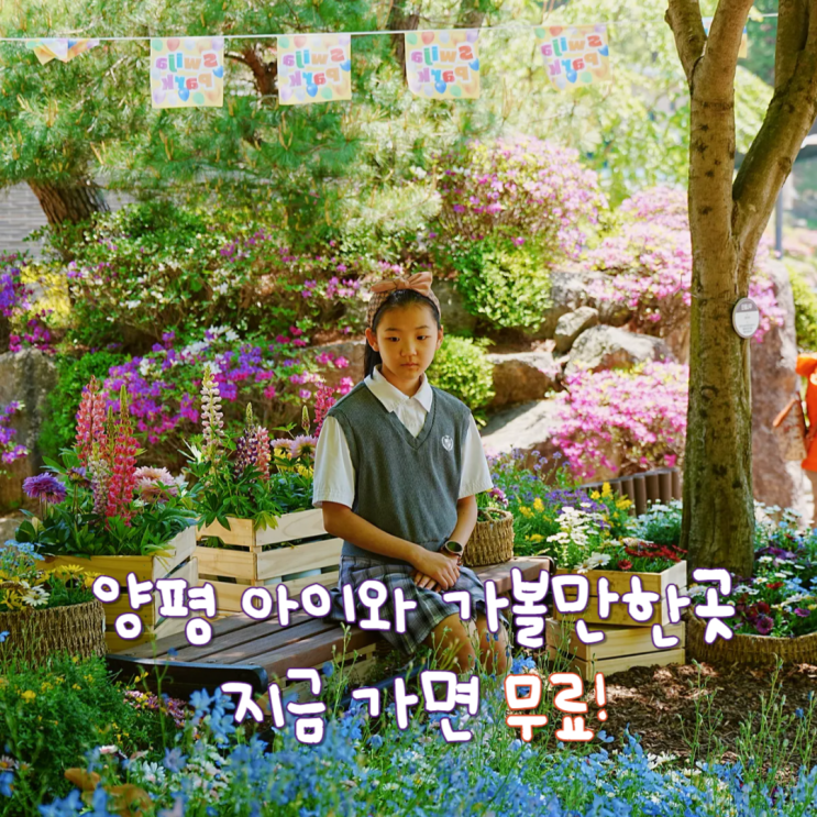  경기 당일치기 여행 양평 아이와 가볼만한곳 양평쉬자파크공원