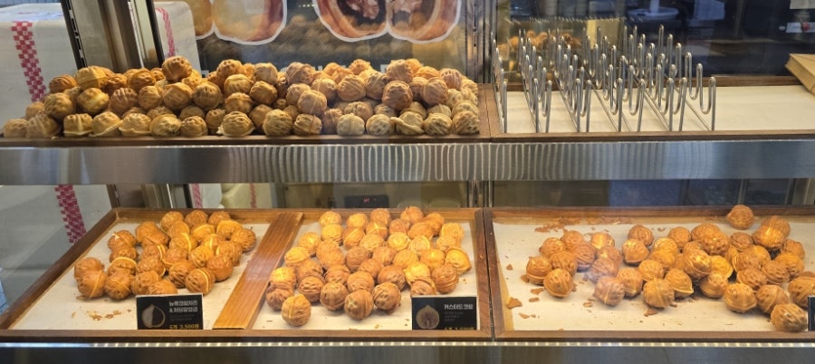 호두붐 사진 5