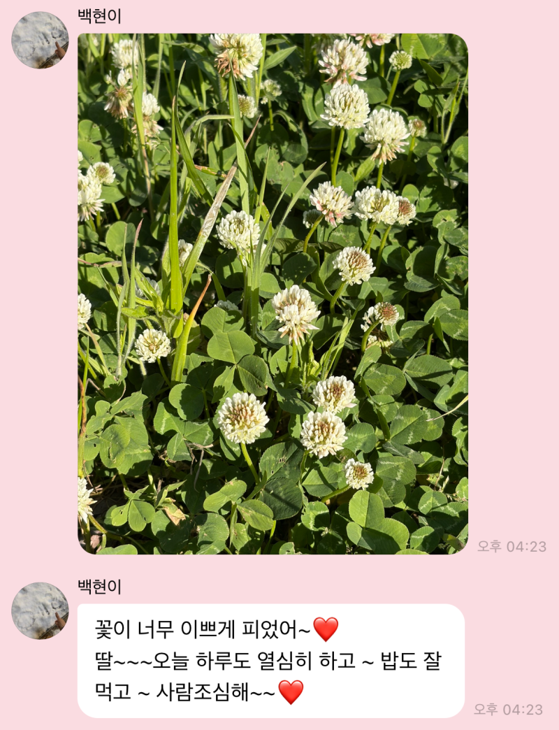 26/5/5 백현 버블 ❤️ : 네 엄마