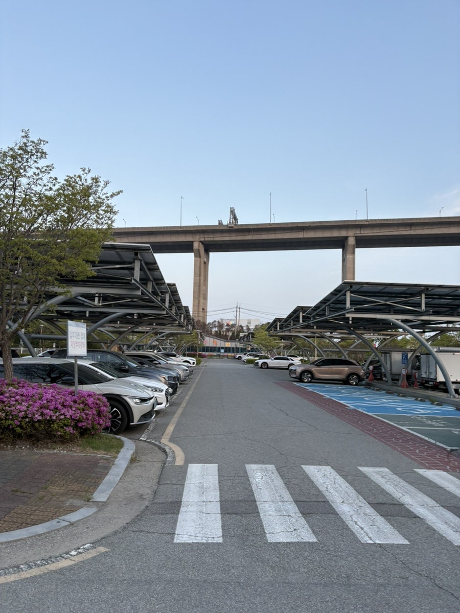 몬테비안코 사진 3