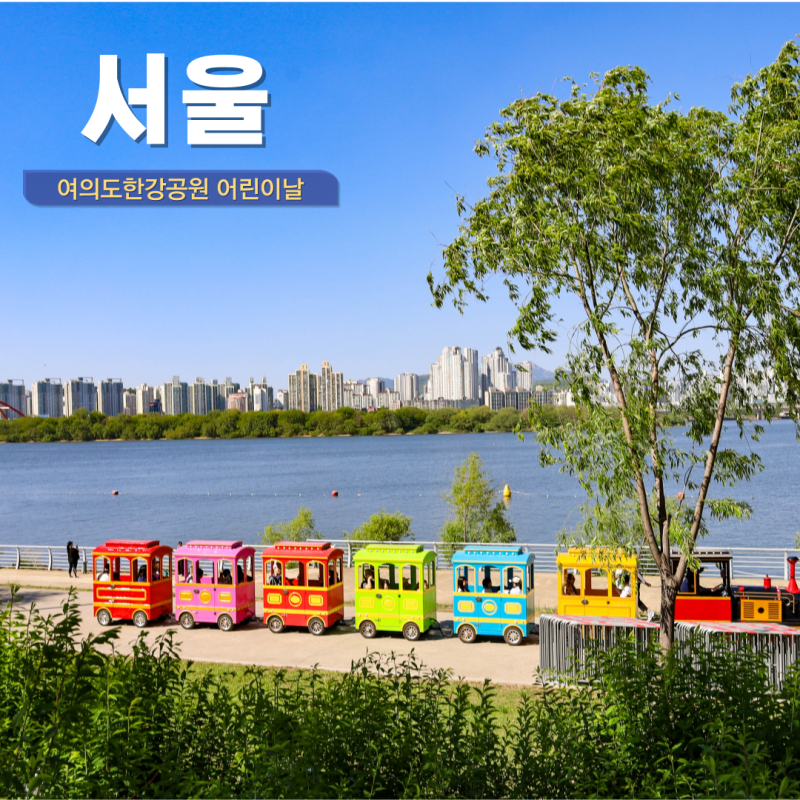 사진 7